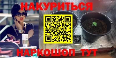 прущий лед Будённовск