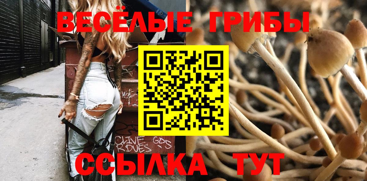 как найти   Галлюциногенные грибы прущие грибы  Вход с VPN  Коркино 