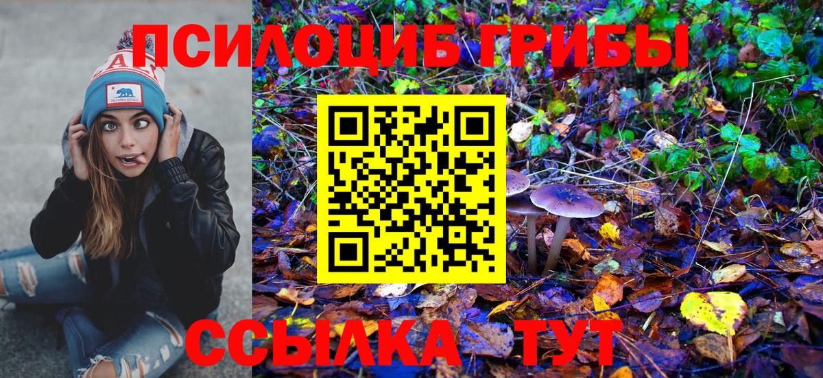 Галлюциногенные грибы мицелий Коркино